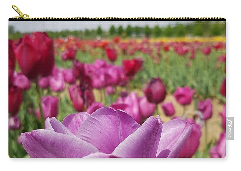 Tulip Zip Pouch featuring the photograph Purple Tulip by Paola Baroni