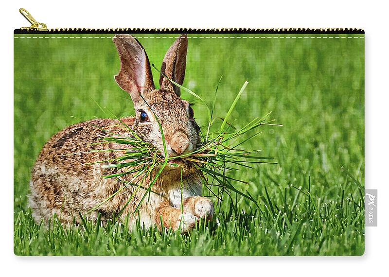 Rabbit Zip Pouch featuring the photograph Rabbit with Grass by Allin Sorenson