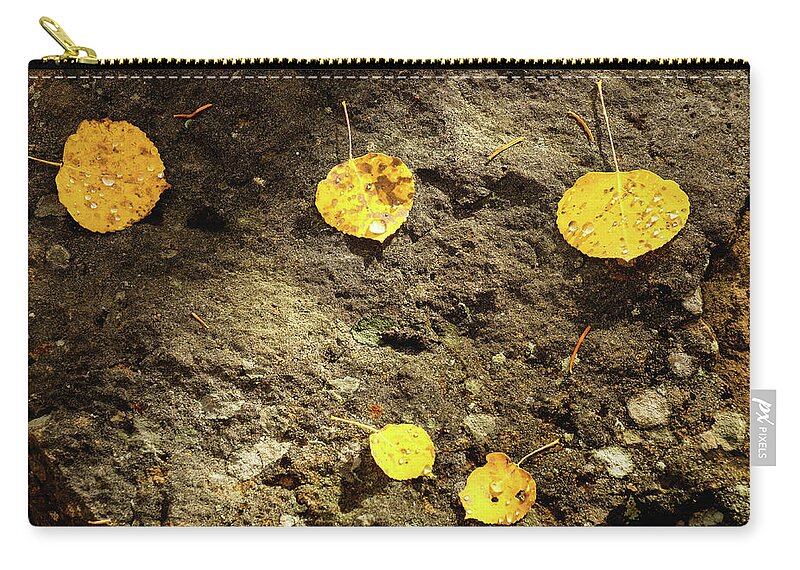 Aspens Zip Pouch featuring the photograph Rain Drops On Aspen Leaves by Johnny Boyd