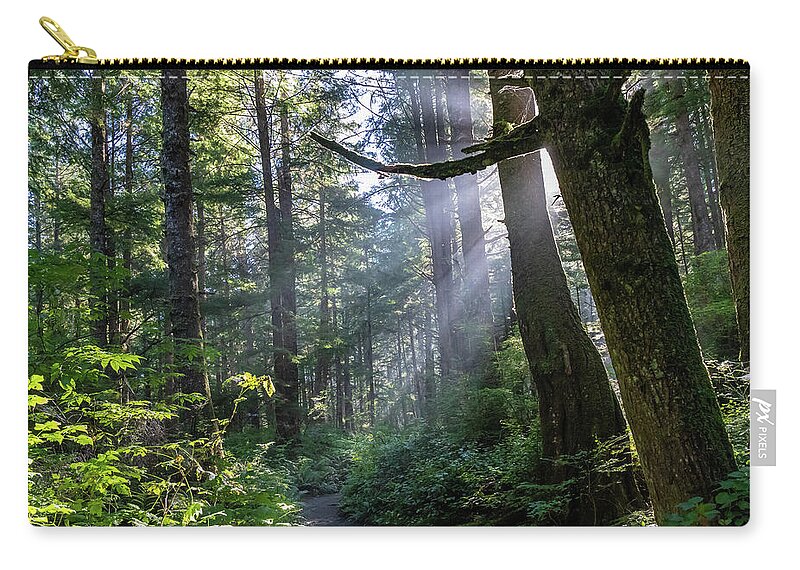 Background Carry-all Pouch featuring the photograph Rain Forest at La Push by Ed Clark
