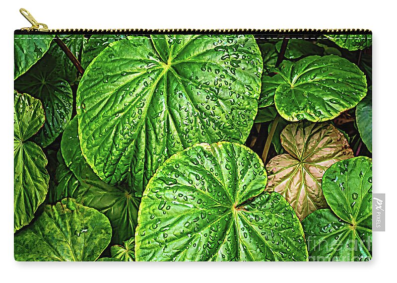 Colors Zip Pouch featuring the photograph Raindrops on Green Leaves by Roslyn Wilkins