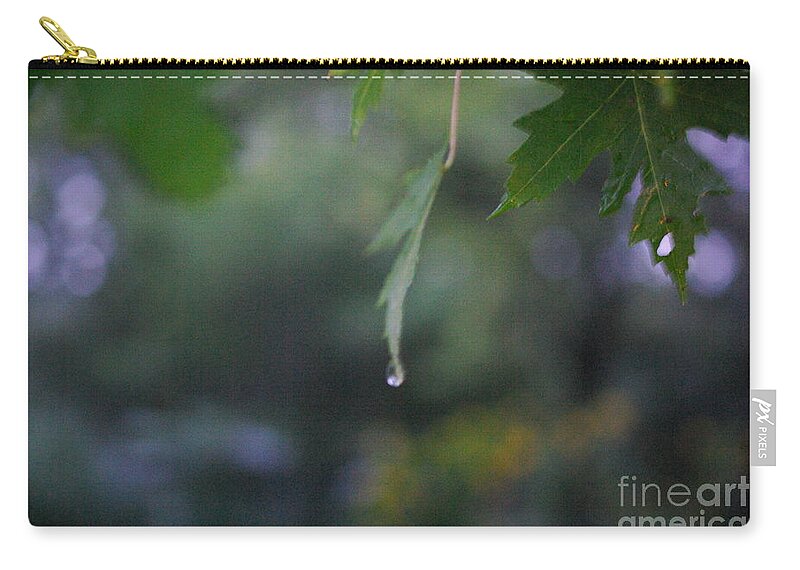 Nature Carry-all Pouch featuring the photograph Raining by Frank J Casella