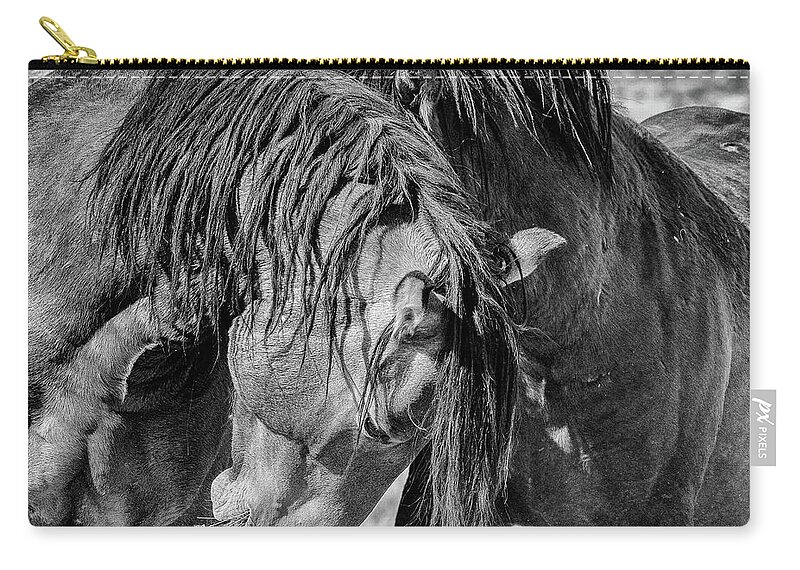 Horses Zip Pouch featuring the photograph Raw by Mary Hone