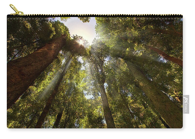 Tranquility Zip Pouch featuring the photograph Rays Of Light Shining Through Forest by Christopher Chan
