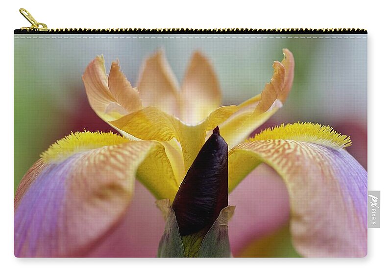 Flower Zip Pouch featuring the photograph Reaching Out by Sherry Hallemeier