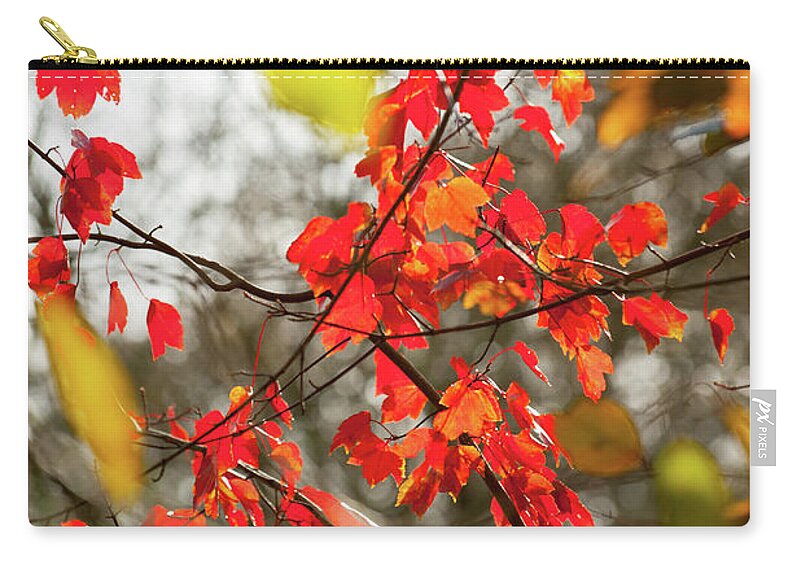 Autumn Leaves Zip Pouch featuring the photograph Red and Gold Autumn Leaves by Helen Jackson
