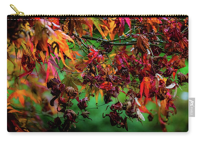 Tree Zip Pouch featuring the photograph Red and Golden - 1 by Christopher Maxum