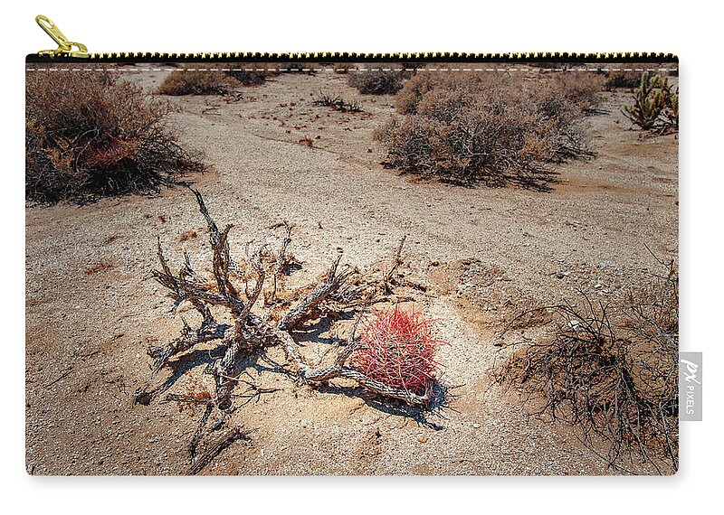 Anza-borrego Desert State Park Zip Pouch featuring the photograph Red Barrel Cactus by Mark Duehmig