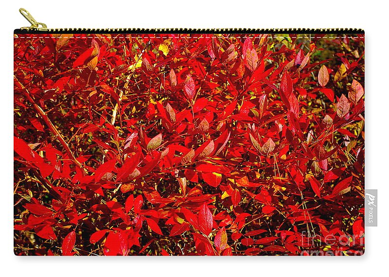 Red Daze Zip Pouch featuring the photograph Red Daze by Barbra Telfer