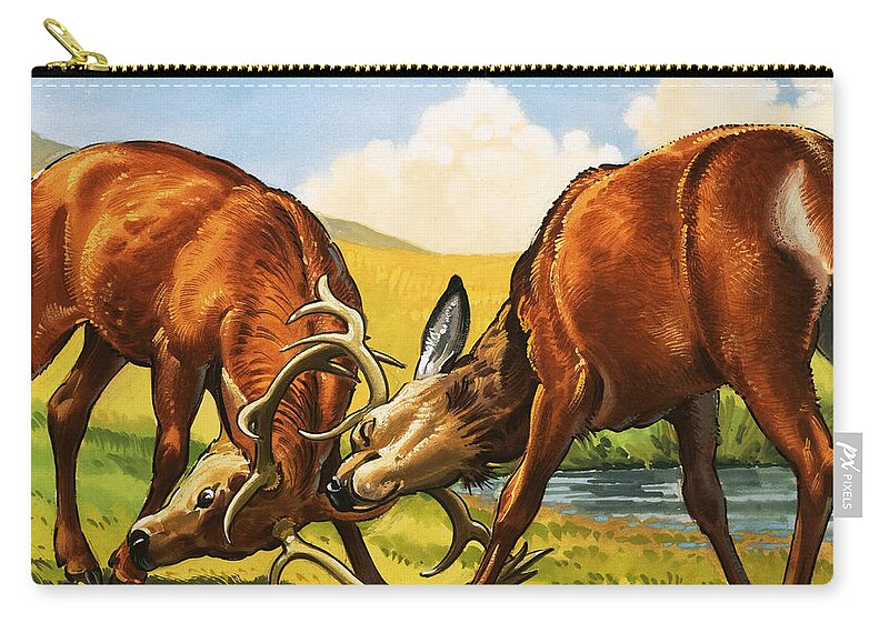 Rutting Zip Pouch featuring the painting Red deer rutting by English School