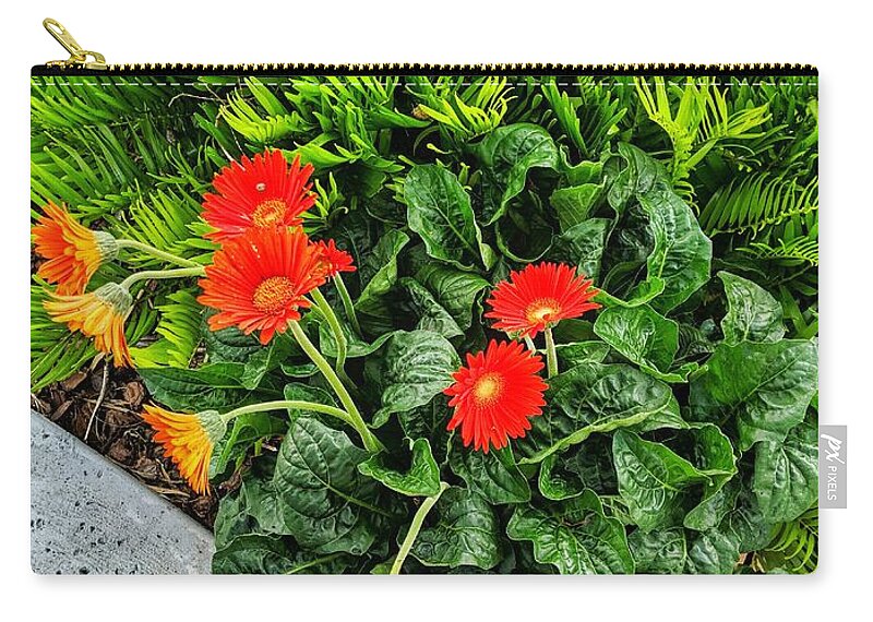 Flower Zip Pouch featuring the photograph Red Goes With Everything by Portia Olaughlin