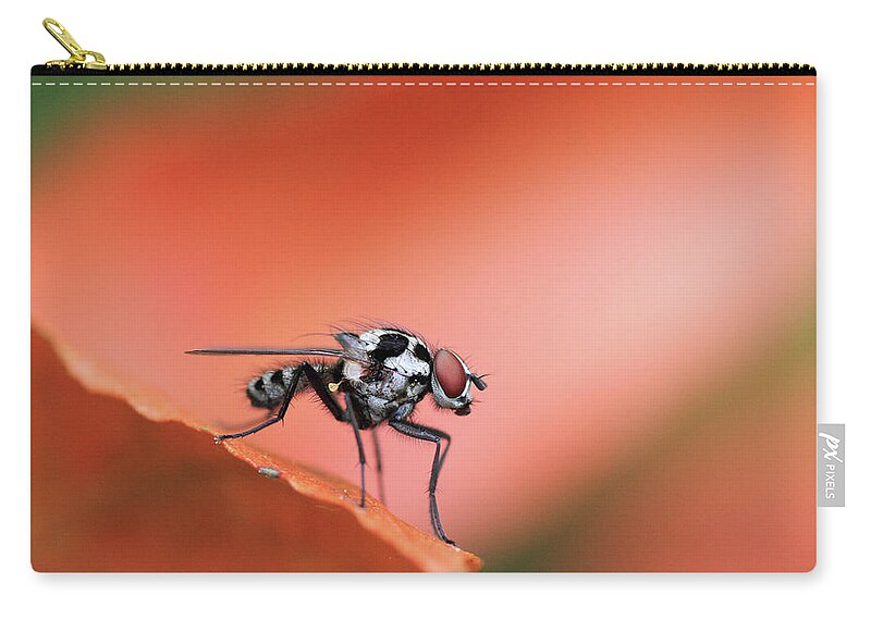 Insect Zip Pouch featuring the photograph Red Insect On Leaf by Israel Gutiérrez Photography