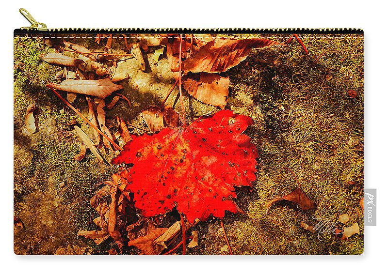 Fall Zip Pouch featuring the photograph Red Leaf on mossy rock by Meta Gatschenberger