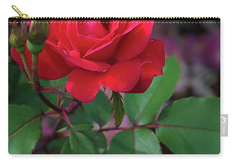 Double Knock-out Rose Zip Pouch featuring the photograph Red Rose by Mark Mille