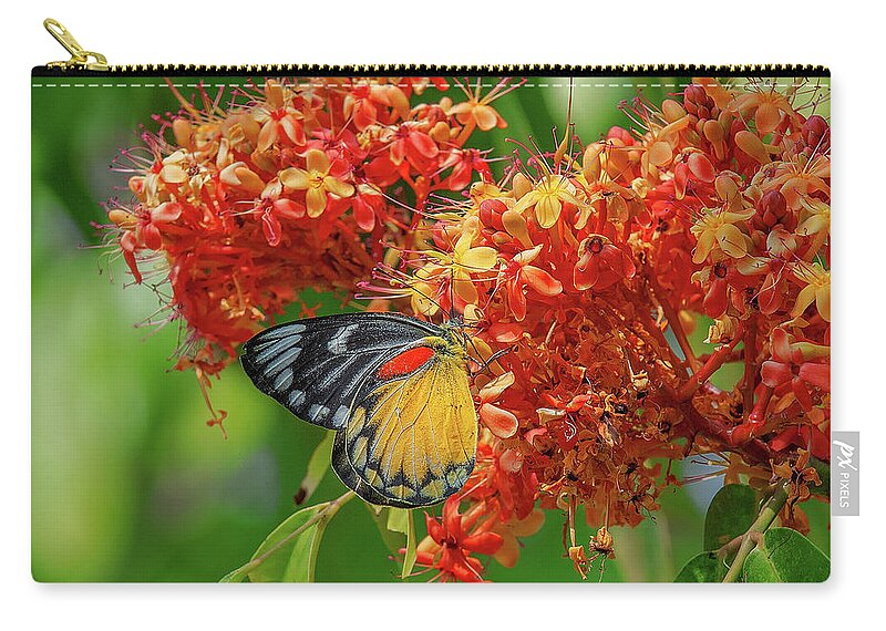 Nature Zip Pouch featuring the photograph Red-spot Jezebel Butterfly DTHN0235 by Gerry Gantt