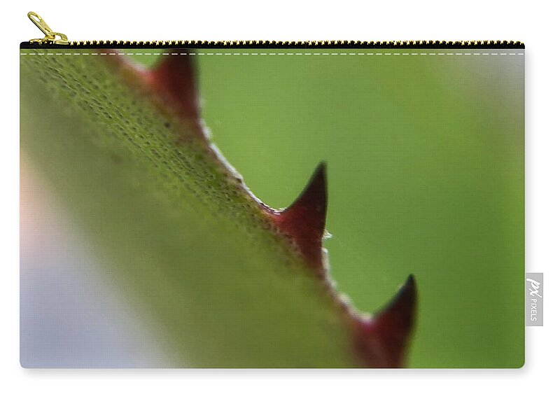 Succulent Plant Zip Pouch featuring the photograph Red Thorns Closeup by Jori Reijonen