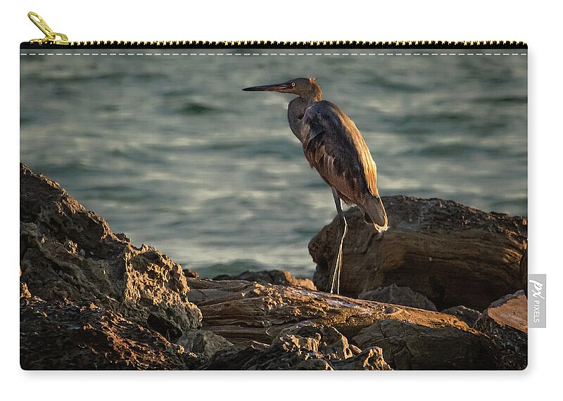 Susan Molnar Zip Pouch featuring the photograph Reddish Egret On The Rocks by Susan Molnar