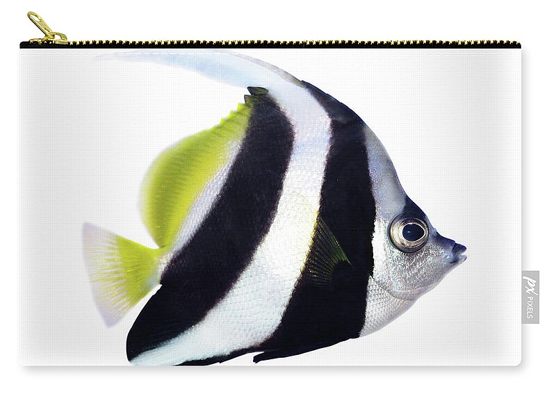 Underwater Zip Pouch featuring the photograph Reef Bannerfish by Alxpin