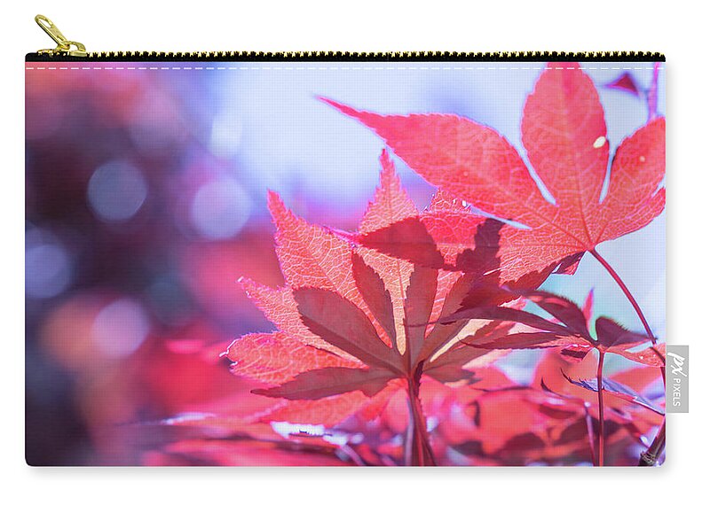 Leaves Zip Pouch featuring the photograph Reflections in Red by Toni Hopper