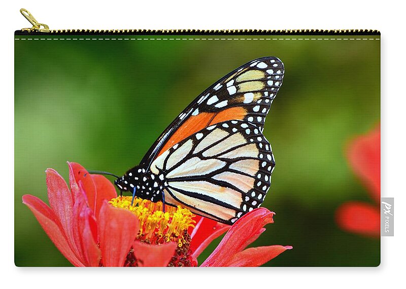 Monarch Butterflies Zip Pouch featuring the photograph Remembrance Sweet Angel Boy by Lisa Wooten