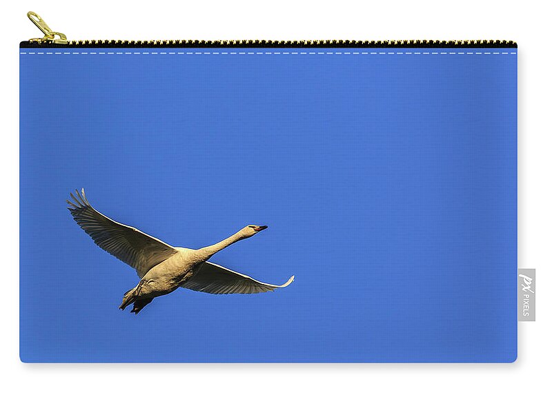 Skagit Valley Zip Pouch featuring the photograph Requesting Permission to Land by Briand Sanderson
