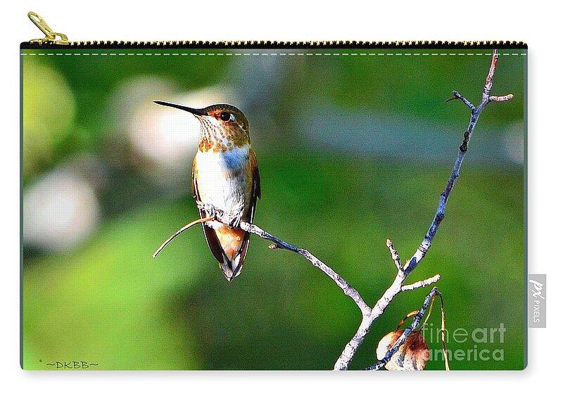 Hummingbird Carry-all Pouch featuring the photograph Resting in the Sun by Dorrene BrownButterfield