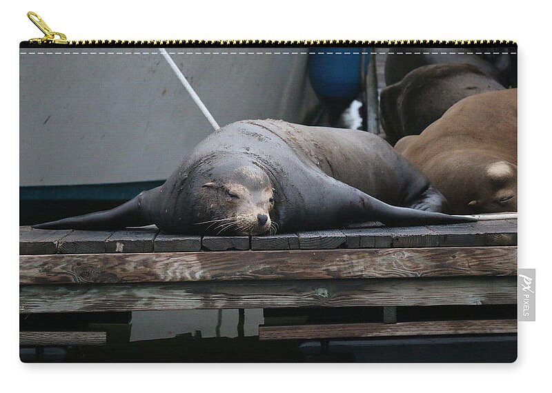 Sea Zip Pouch featuring the photograph Resting on the Dock - 2 by Christy Pooschke