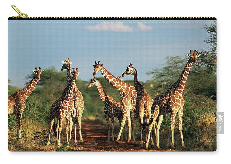 Shadow Zip Pouch featuring the photograph Reticulated Giraffes Giraffa by James Warwick