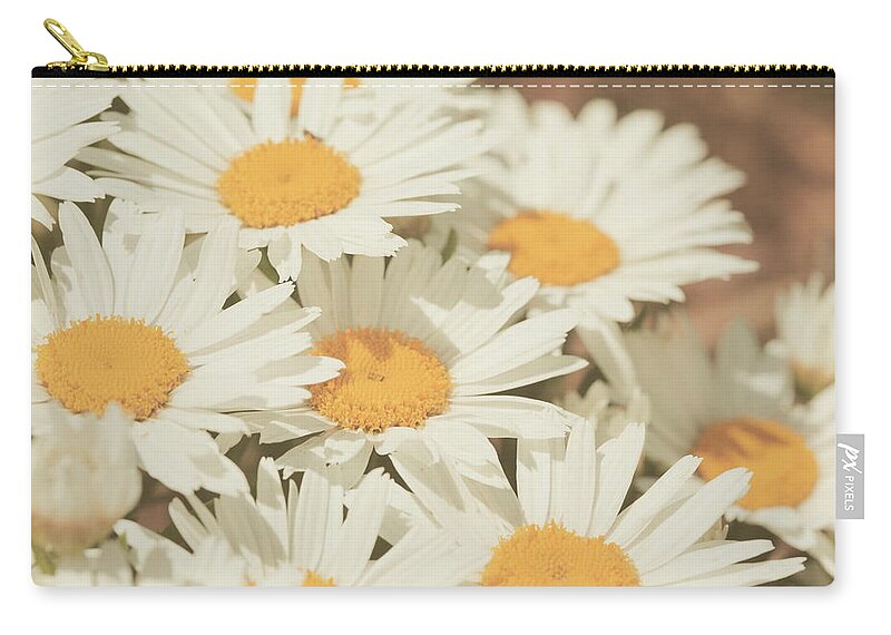 Petal Zip Pouch featuring the photograph Retro Daisies by Poppy Thomas-hill