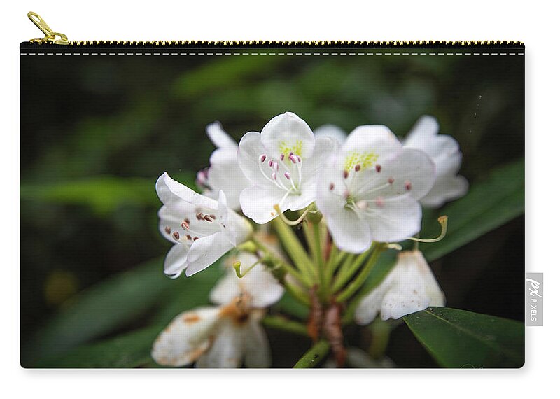 Art Prints Zip Pouch featuring the photograph Rhododendron 01 by Nunweiler Photography
