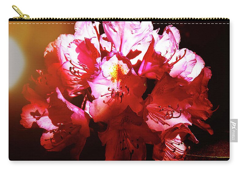 Rhododendron Zip Pouch featuring the photograph Rhododendron Closeup by Johanna Hurmerinta