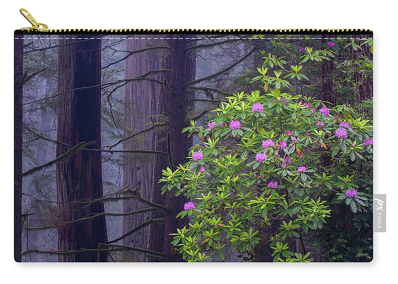 Jeff Foott Zip Pouch featuring the photograph Rhododenron And Coast Redwoods by Jeff Foott