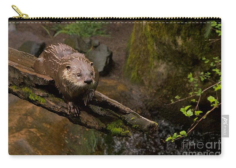 Photography Zip Pouch featuring the photograph River Otter by Sean Griffin