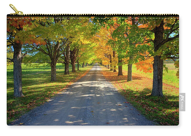 Scenics Zip Pouch featuring the photograph Road Among The Trees 1 by Cworthy