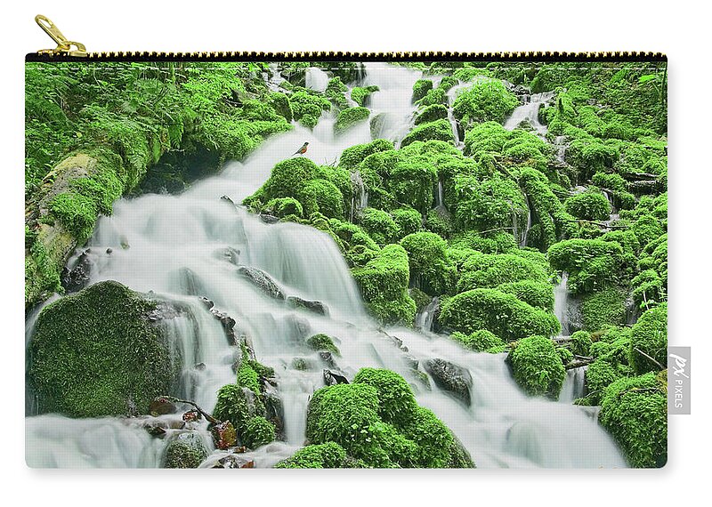 Robin Zip Pouch featuring the photograph Robin's Moment by Dan McGeorge
