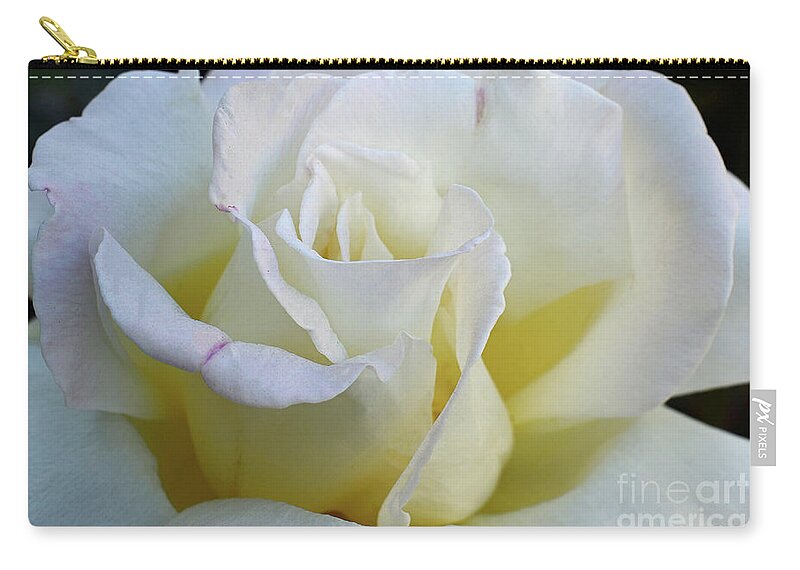 Rose Zip Pouch featuring the photograph Rose by Debby Pueschel