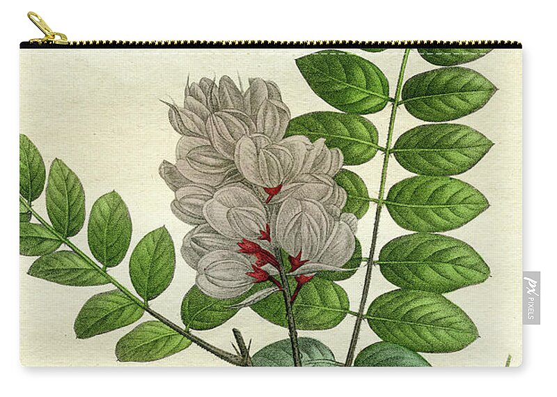 Rose Flowering Locust Zip Pouch featuring the mixed media Rose Flowering Locust by Unknown