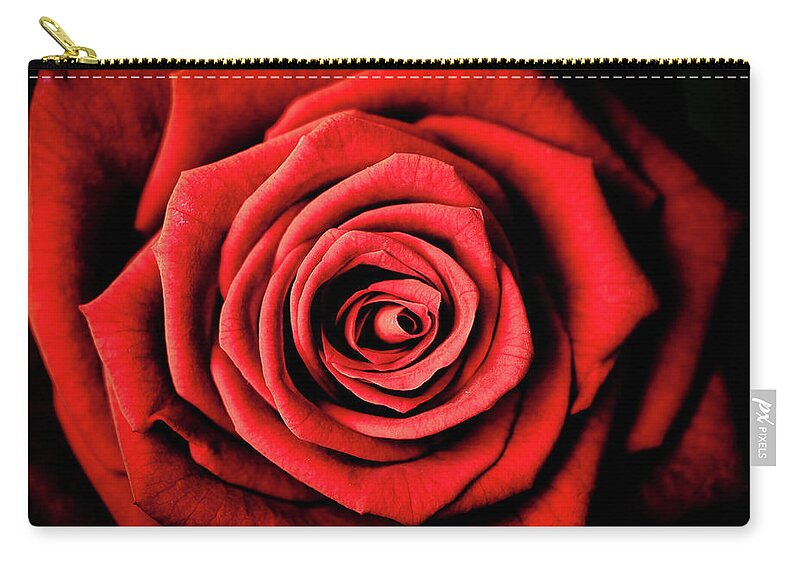 Belgium Zip Pouch featuring the photograph Rose by Photography Taken By Ivan Dupont