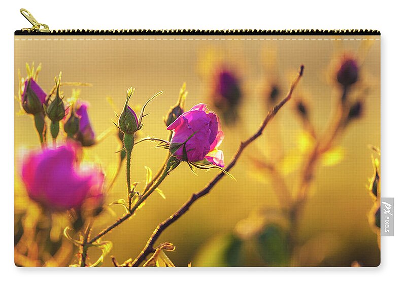 Bulgaria Carry-all Pouch featuring the photograph Roses In Gold by Evgeni Dinev