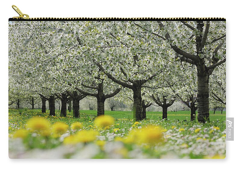 Scenics Zip Pouch featuring the photograph Row Of Cherry Trees In Blossom At A by Martin Ruegner