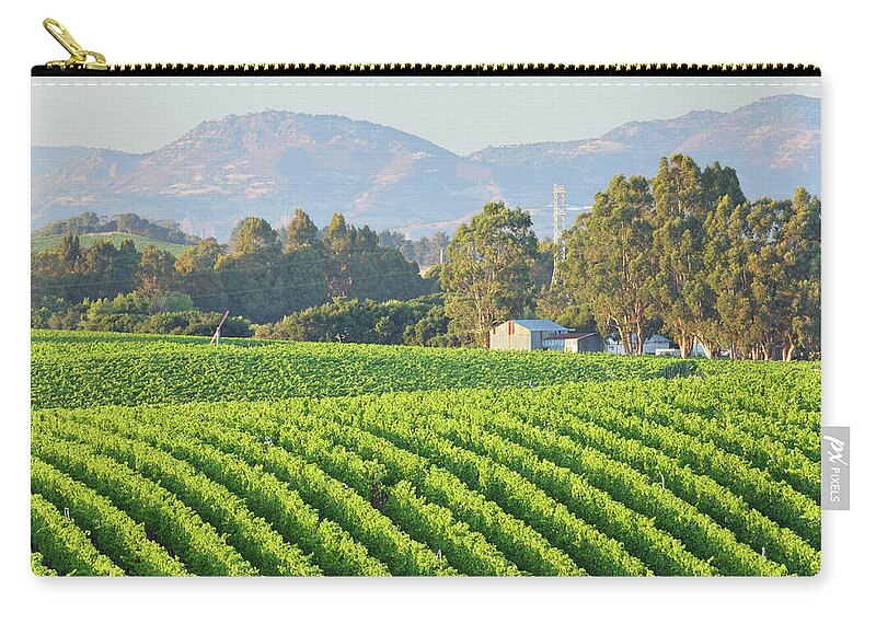 Scenics Zip Pouch featuring the photograph Rows Of A Vineyard Landscape In Bright by S. Greg Panosian