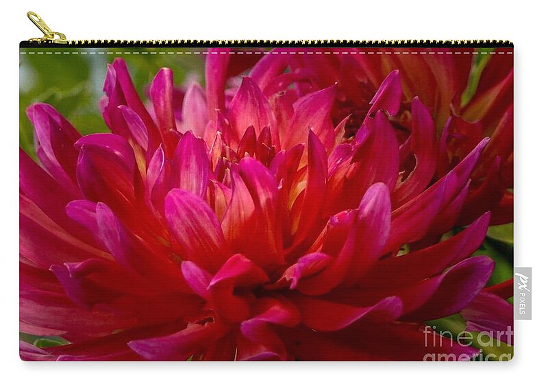 Dahlia Zip Pouch featuring the photograph Ruby Red Dahlia by Susan Rydberg