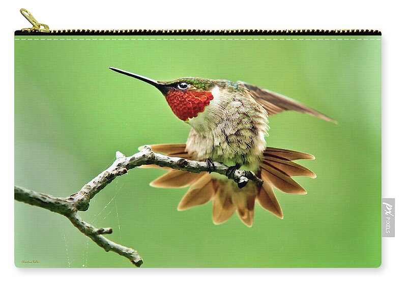 Hummingbird Zip Pouch featuring the photograph Ruby Throated Hummingbird 4 by Christina Rollo