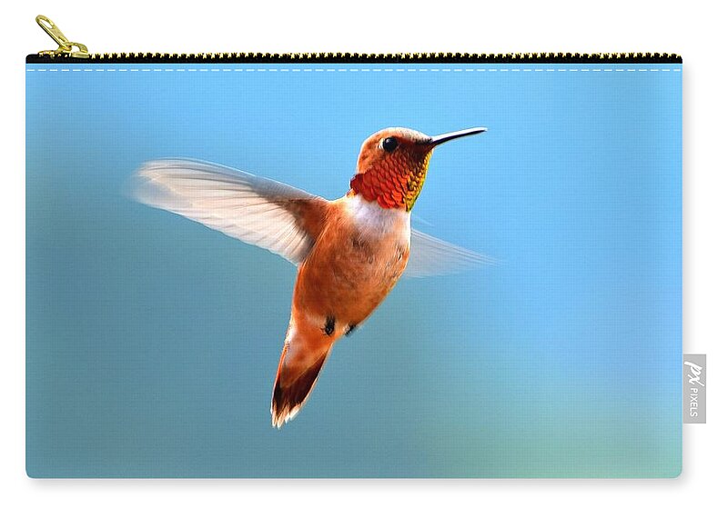 Hummingbird Zip Pouch featuring the photograph Rufous in Flight by Dorrene BrownButterfield