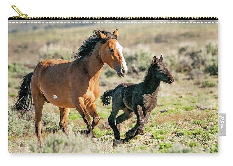 Wild Mustangs Zip Pouch featuring the photograph Running Wild Mustangs - Mom and Baby by Judi Dressler