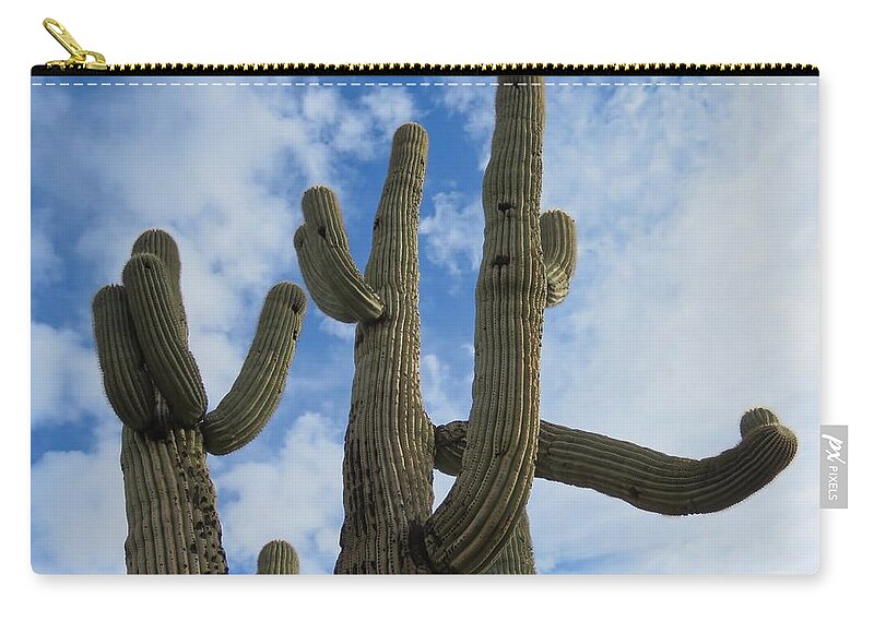 Arizona Carry-all Pouch featuring the photograph Saguaro Clique by Judy Kennedy