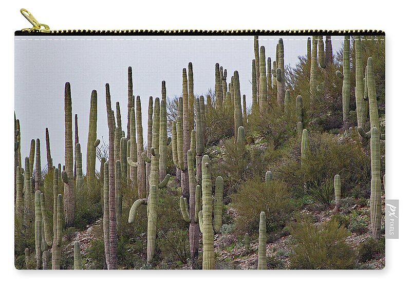 Saguaro Hill In The Superstitions Zip Pouch featuring the digital art Saguaro Hill In The Superstitions by Tom Janca
