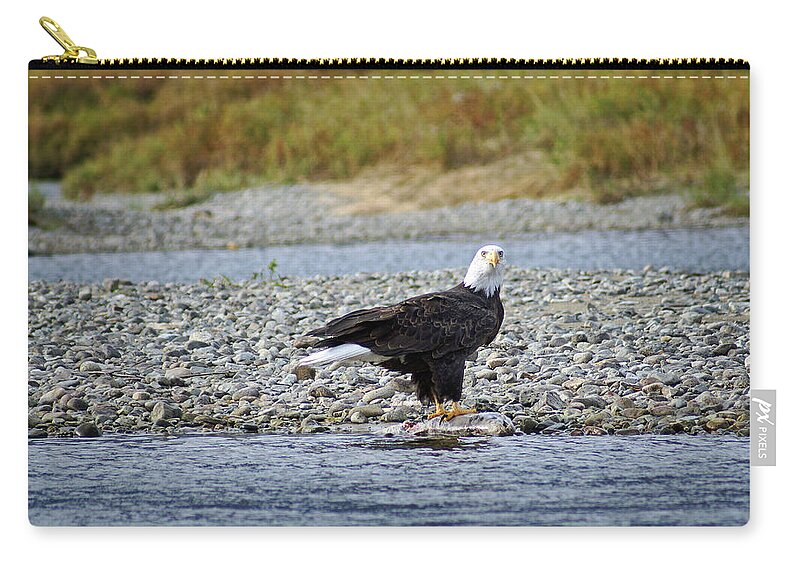 Eagle Zip Pouch featuring the photograph Salmon for Supper by Cameron Wood