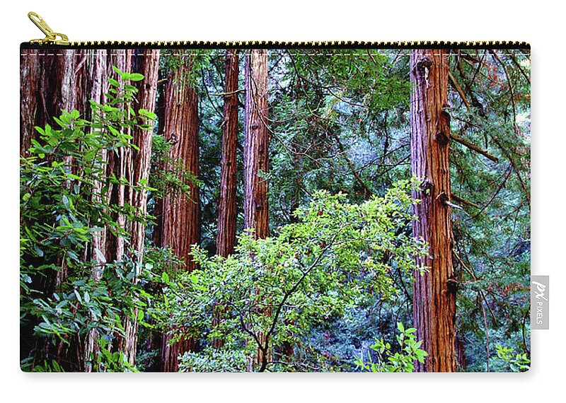 Redwoods Zip Pouch featuring the photograph Samuel Taylor Redwoods 1 by David Armentrout