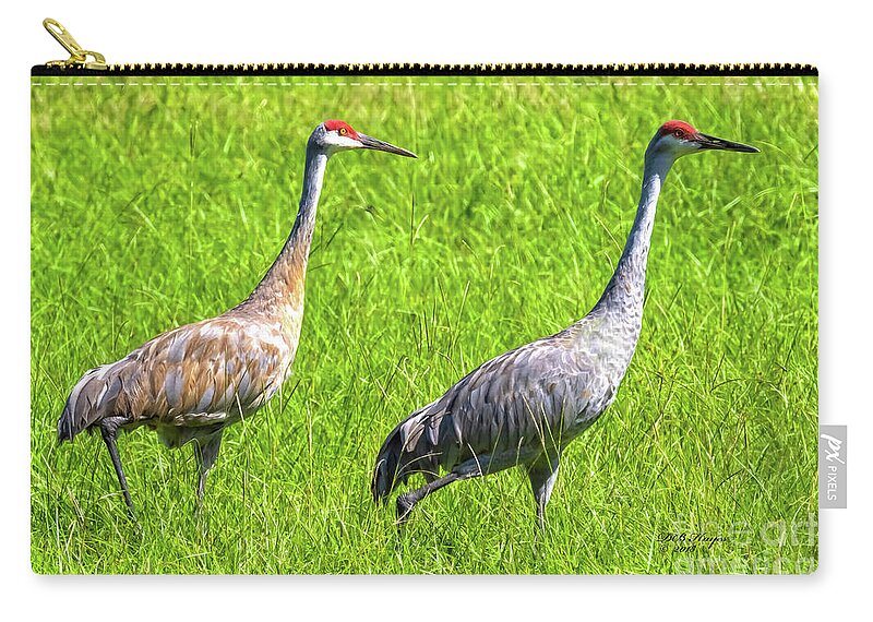 Cranes Zip Pouch featuring the photograph Sandhill Crane Mates by DB Hayes